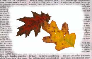 Leaves and Newsprint